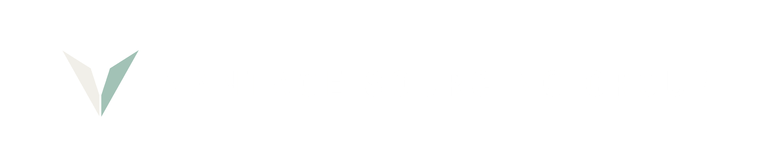 Vantage Sourcing Group